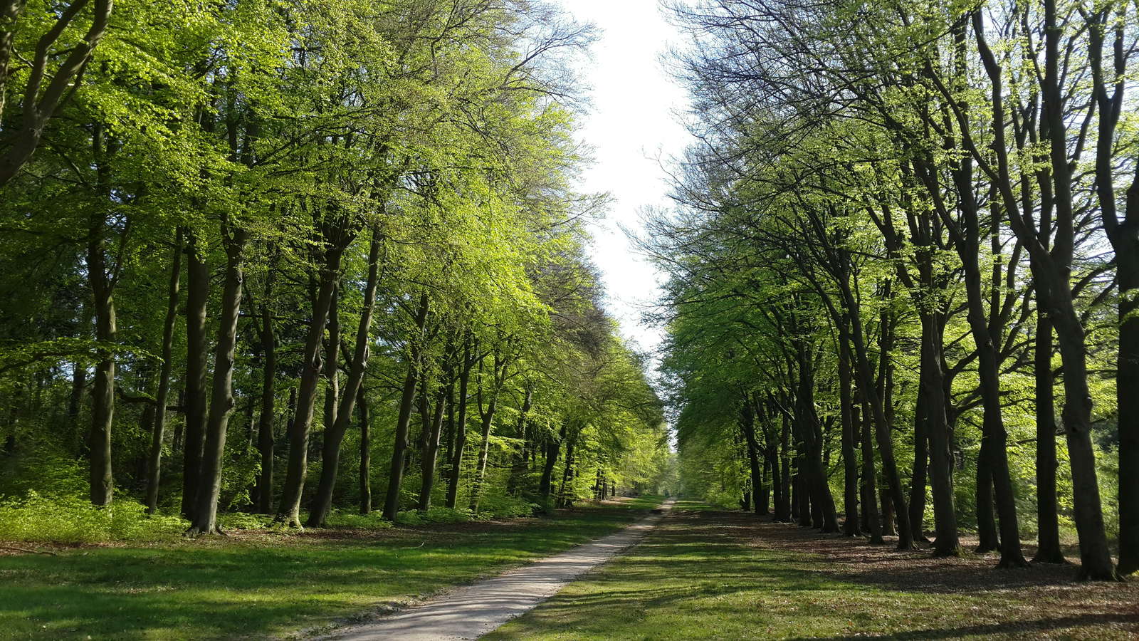 VCU-VIL in Ede