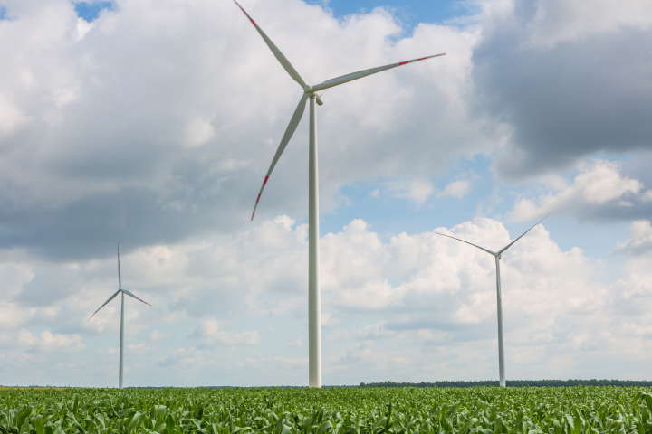Wind (GWO)
