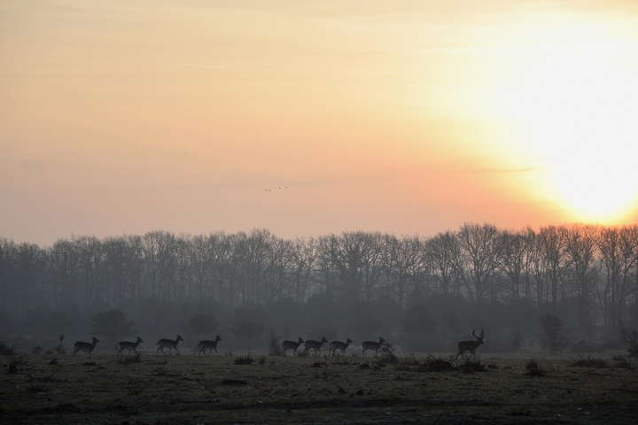 NEN 3140 VOP examen in Elst
