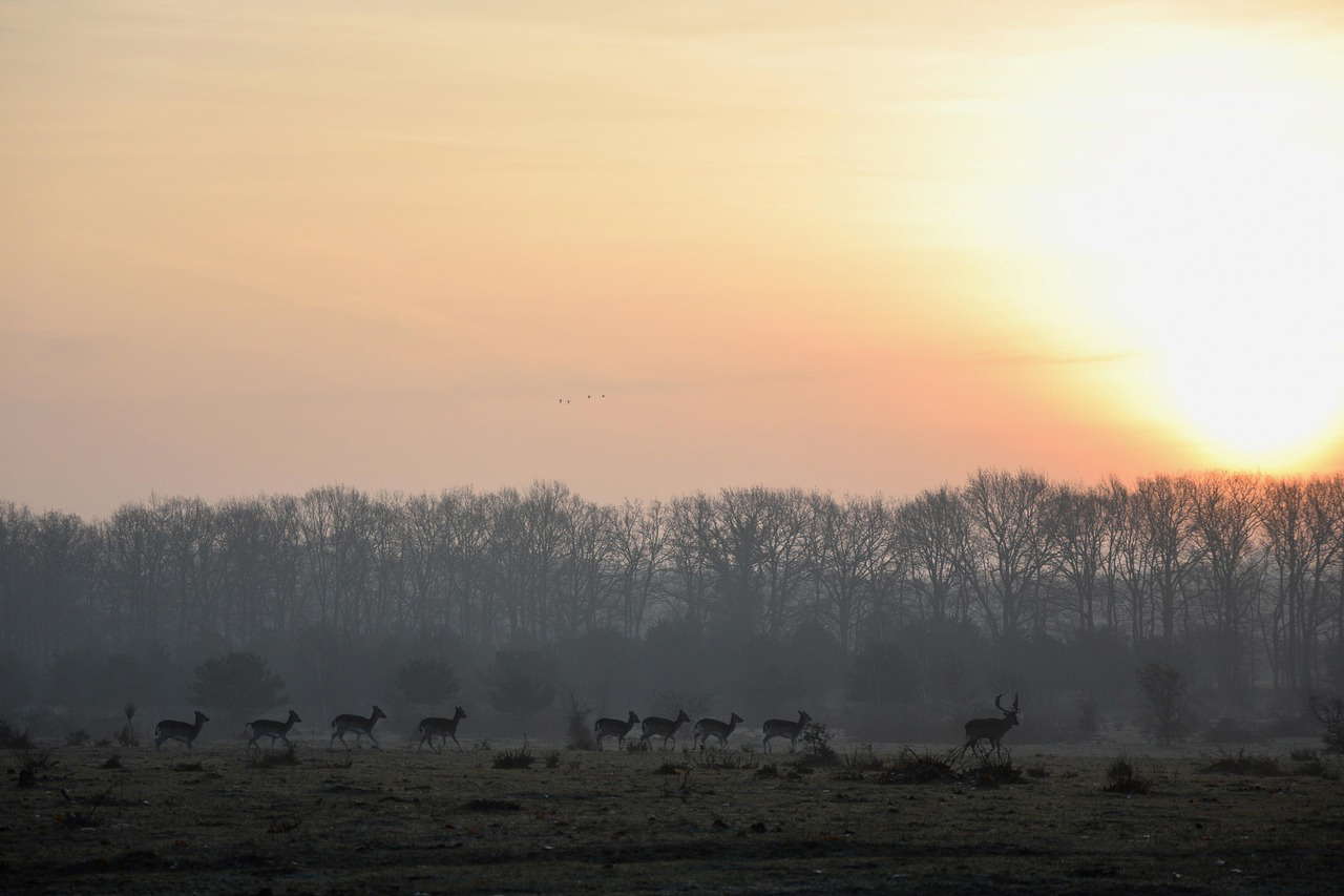 VCU-VIL in Elst