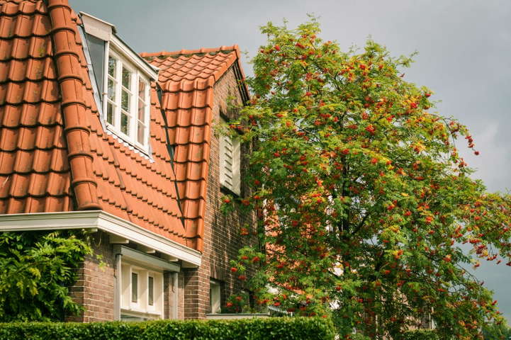 NEN 3140 VOP examen in De Bilt