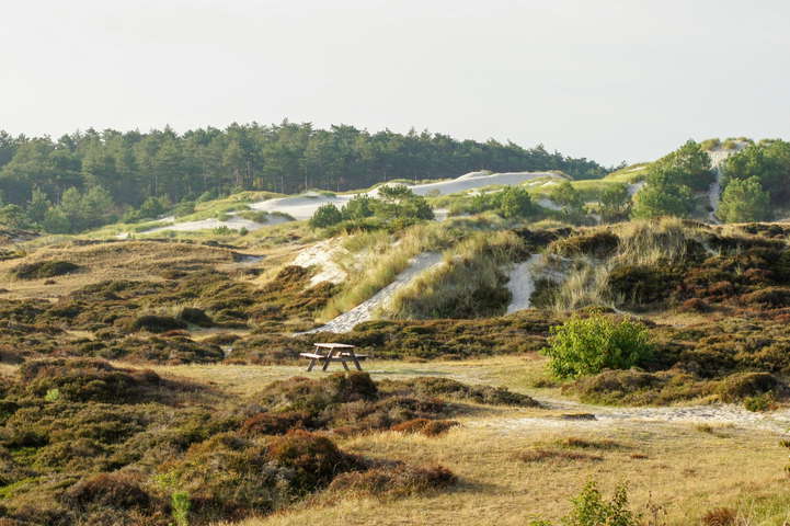 VCU-VIL in Schoorl