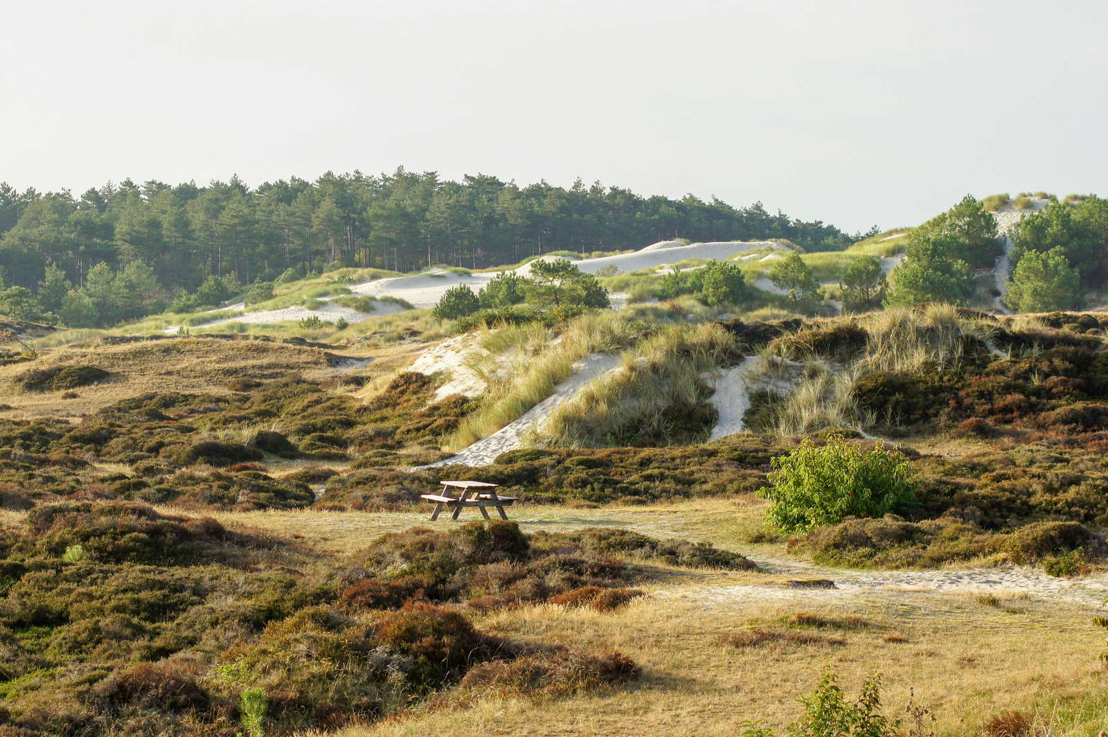 VCU-VIL in Schoorl