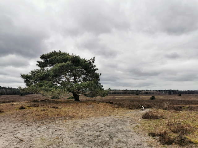 EHBO Basis in Heerde