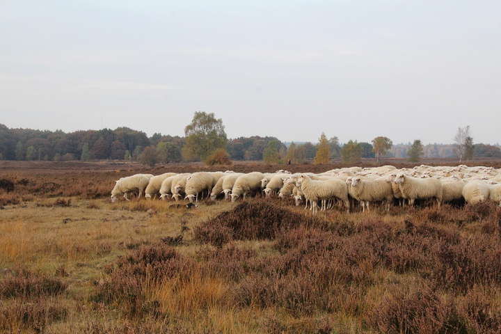 VCU-VIL in Ermelo