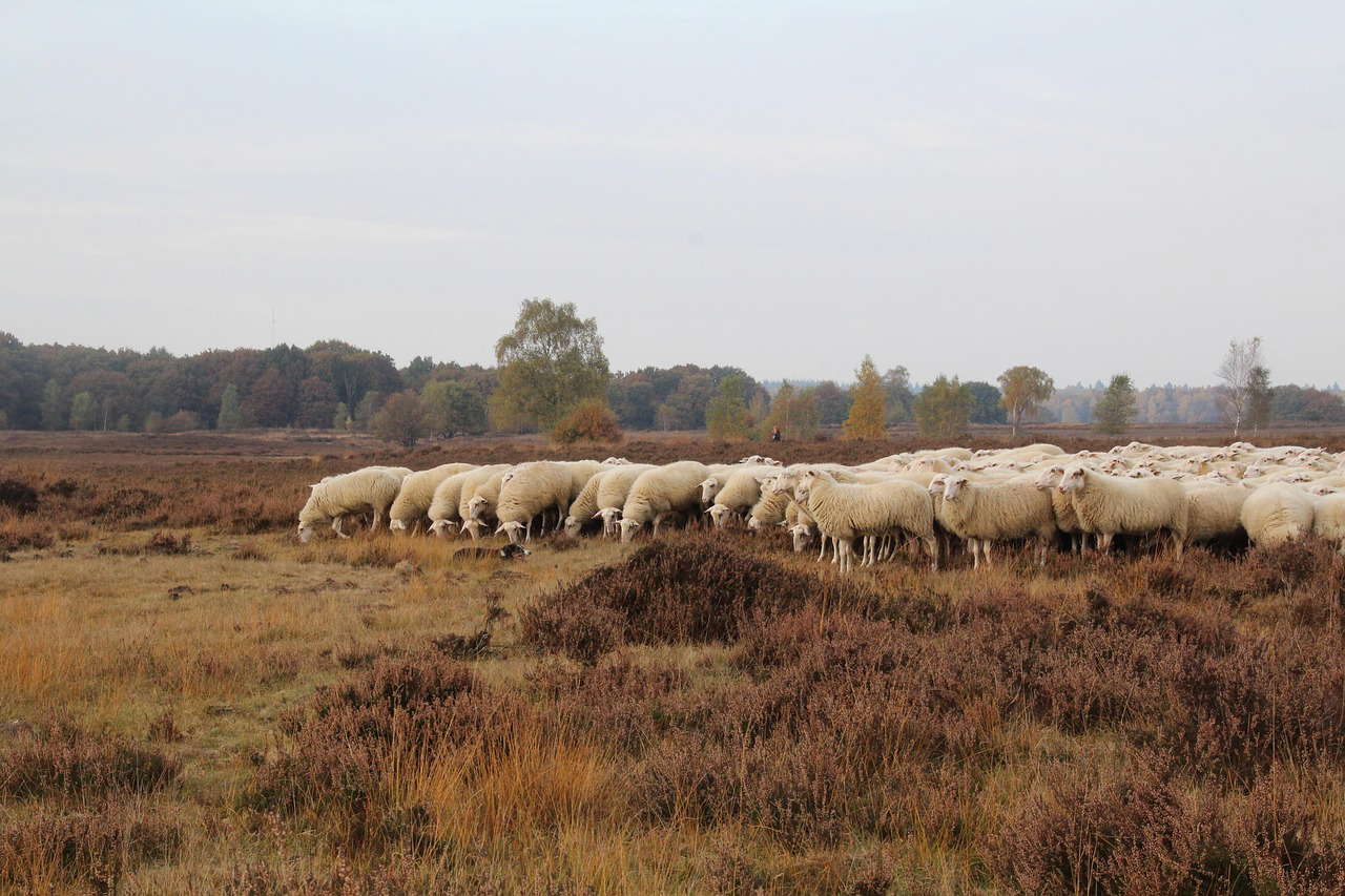 VCU-VIL in Ermelo